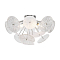 Люстра Freya FR5274CL-06CH